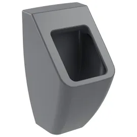 Villeroy & Boch Venticello Absaugurinal (5504R0)