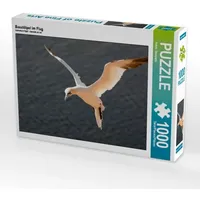 Calvendo Basstölpel im Flug (Puzzle)