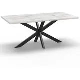 BIG Möbel GmbH Gastro Esstisch 200x100 cm | Marmor Weiß | Spider-Gestell