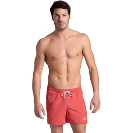 Arena Pro_File Beach Shorts