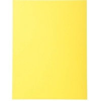 Exacompta 420005E Box 100 Unterordner, gelb