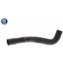 VAICO Servoleitung für Ford Focus C Max II V25 1899