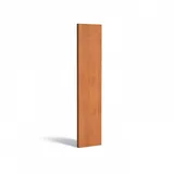 Adezz Sichtschutzpaneel 40 x 180 cm Braun Stahl