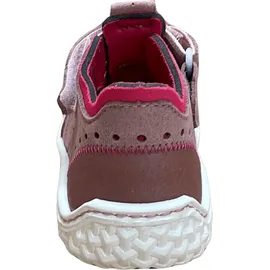 Pepino Jerry Rosa 20