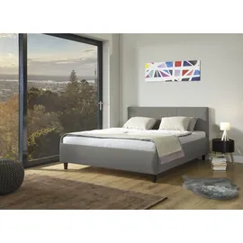 Alina Polsterbett ALINA "Pepe", grau (grau tls 39), B:147cm H:102cm L:212cm, Kunstleder TLS (100% Polyester), Betten, Polsterbett, wahlweise mit Matratze und Lattenrost, in diversen Ausführungen