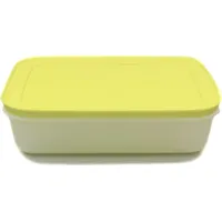 Tupperware Gefrier-Behälter 1,0 L weiß limette flach Eis-Kristall G36