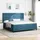 vidaXL Boxspringbett 100 x 200 cm Blau