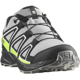 Salomon Speedcross Wp Wanderschuhe - Alloy / Black / Green Gecko - EU 38