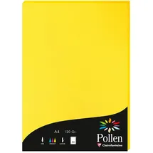 Pollen 10x Papier A4 Pollen 120g 50 Blatt - Sonnengelb 4217C