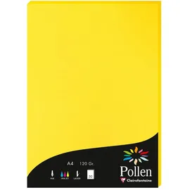 Pollen 10x Papier A4 Pollen 120g 50 Blatt - Sonnengelb 4217C