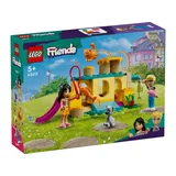 LEGO Abenteuer auf dem Katzenspielplatz