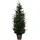 Fééric Lights and Christmas Weihnachtsbaum Helsinki Grün 150 cm