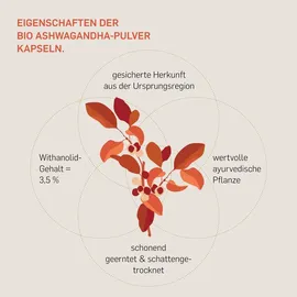 Kurkraft Bio Ashwagandha Kapseln 240 St.