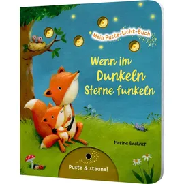 Thienemann-Esslinger Verlag GmbH Mein Puste-Licht-Buch: Wenn im Dunkeln Sterne funkeln - Christina Nömer Gebundenes Buch
