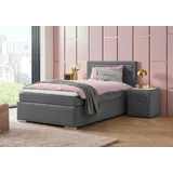 LEONIQUE Boxbett LEONIQUE "Alfie, Bestseller, wahlweise mit Bettkasten", grau (anthrazit), L:206cm, Bezug Bett: Samtvelours (100% Polyester), Bezug der Spiegelfläche Matratzendrell aus 100% Polyester.