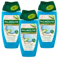 Palmolive Duschgel Mineral Massage 250ml