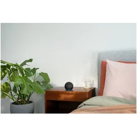 Amazon Echo Dot 5. Generation anthrazit