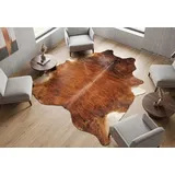 Kuhfelle Online & Nomad Exklusives Kuhfell Braun Exotisch 230 x 210 cm – Echtes Rinderfell aus Brasilien – Großes Naturfell Teppich für Wohnzimmer, Schlafzimmer & Landhausstil