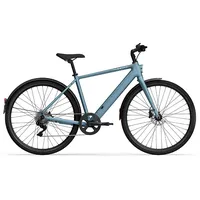 Tenways CGO600 Plus - 28 Zoll 360Wh 8K Diamant