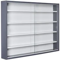 Interlink Sammlervitrine 80 x 60 x 9,5 cm Grau/Weiß