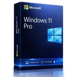 Microsoft Windows 11 Pro DVD IT