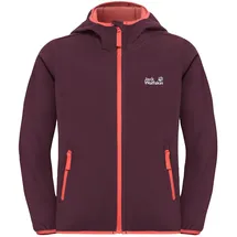 Jack Wolfskin Fourwinds Jacket Kids amaranth 92