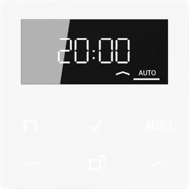 Jung Timer Standard, Display A 1750 D WW