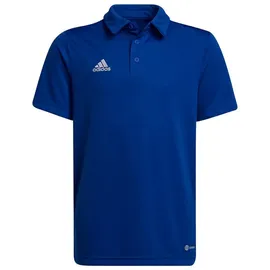 adidas Entrada 22 Poloshirt Kinder - blau - 116