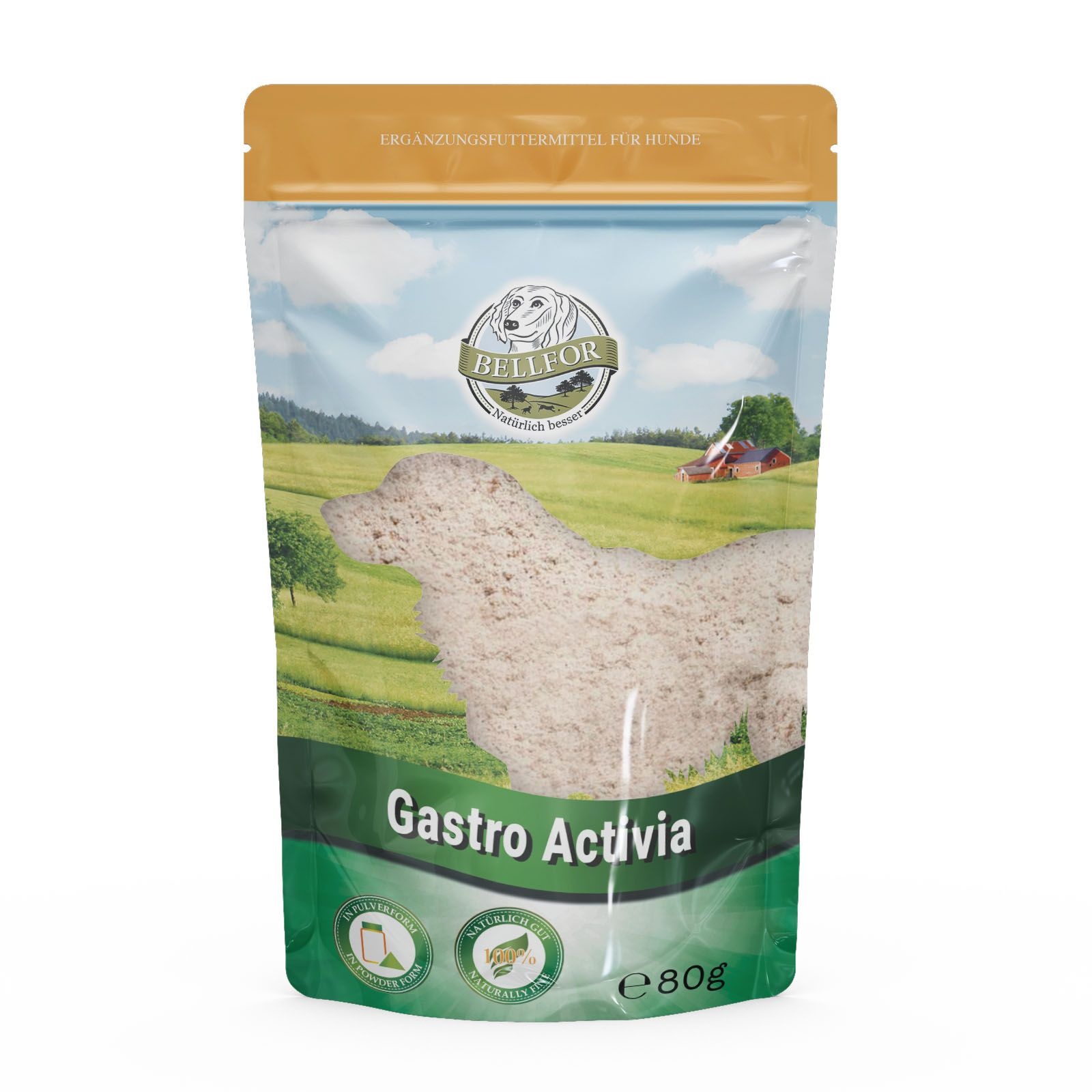 Bellfor Gastro Activia Pulver 80 g