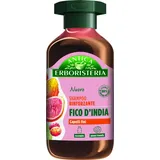 ANTICA ERBORISTERIA Fico d'India Shampoo 250 ml