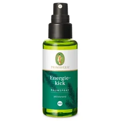 ENERGIEKICK Raumspray Bio 50 ml