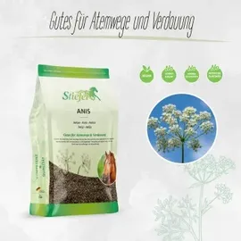 Stiefel Anis 500 g