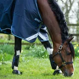 Horseware Amigo Bravo-12 Turnout lite 0g - navy/navy&white,