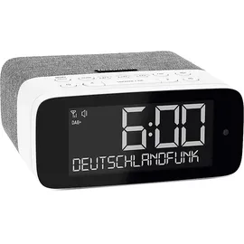 TechniSat DIGITRADIO 52 ASA Grau/Weiß