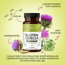 biovana Blütenquelle Leber Komplex Kapseln 60 St.