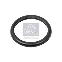 DT Spare Parts Dichtung, Thermostat 13.42091