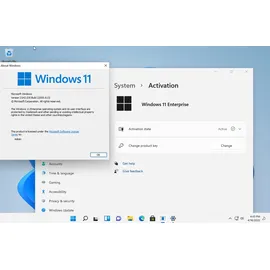 Microsoft Windows 11 Enterprise 64-Bit ESD DE