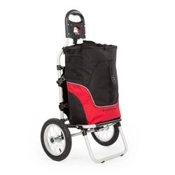 Duramaxx Fahrradkinderanhänger Carry Red Fahrradanhänger rot