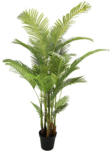 Areca-Palme 190 cm künstliche Blume Seide gefälschte Blume - Buitengewoon de Boet