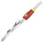 WOLF-Garten Unkrautstecher Distelstecher 71AAA022650