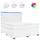 vidaXL Boxspringbett 180 x 200 cm Weiß