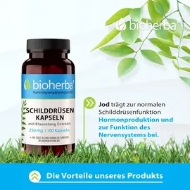 Bioherba Schilddrüsen Kapseln 100 Stück