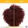 Matrix Total Results A Curl Can Dream Shampoo 300 ml