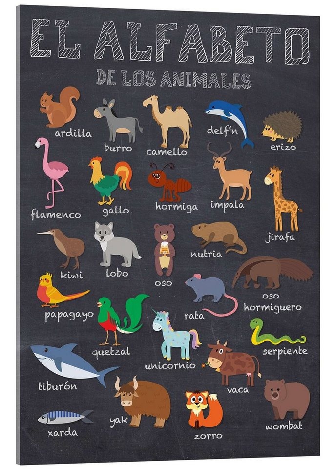 Posterlounge Acrylglasbild Kidz Collection, Alphabet der Tiere (spanisch), Klassenzimmer Illustration 50 cm x 70 cm