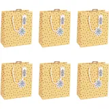 Clairefontaine 6x Zitrus Geschenktasche 21,5x10,2x25,3cm Orange X-32784-3C
