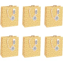Clairefontaine 6x Zitrus Geschenktasche 21,5x10,2x25,3cm Orange X-32784-3C