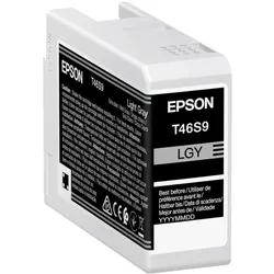 Original Epson C13T46S900 / T46S9 Druckerpatrone Foto Grau