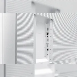 Samsung Flip Pro WM55B 55"