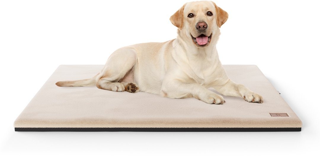 Knuffelwuff Hundematte Berrith, Orthopädisch beige 55 cm x 80 cm