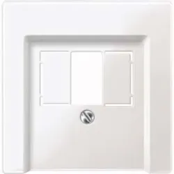 Merten Zentralplatte pws/gl für Anschlussdose 296019